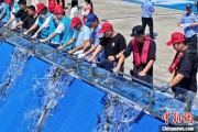 你梦见谁2025年全国水生生物同步增殖放流活动在福建举行
