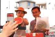 你梦见谁（乡村行·看振兴）江西安福“小西瓜”撬动乡村共富“大支点”