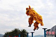 你梦见谁（文化中国行）壮乡狮舞闯南洋：脚踏“云桩” 饮誉海内外
