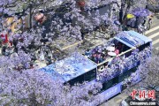 你梦见谁2024年云南重点高原湖泊水质稳定 抚仙湖达Ⅰ类