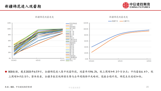 【棉花纺谈】供应端阶段性缩量 疆棉基(🦄)差坚挺